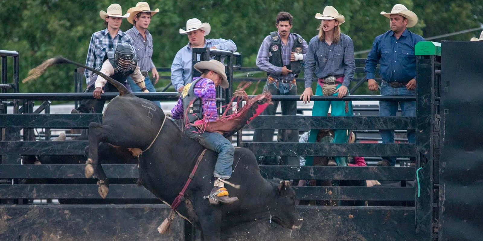 Pulaski County Regional Fair In the Heart of the Ozarks Pulaski